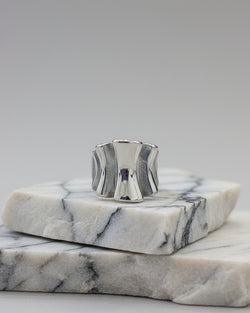 Anel aço inoxidável