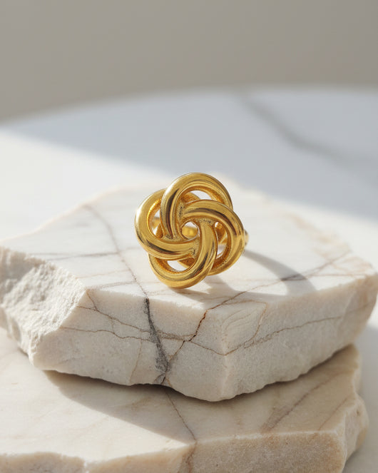 Anel aço inoxidável