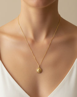 Colar Concha Santiago